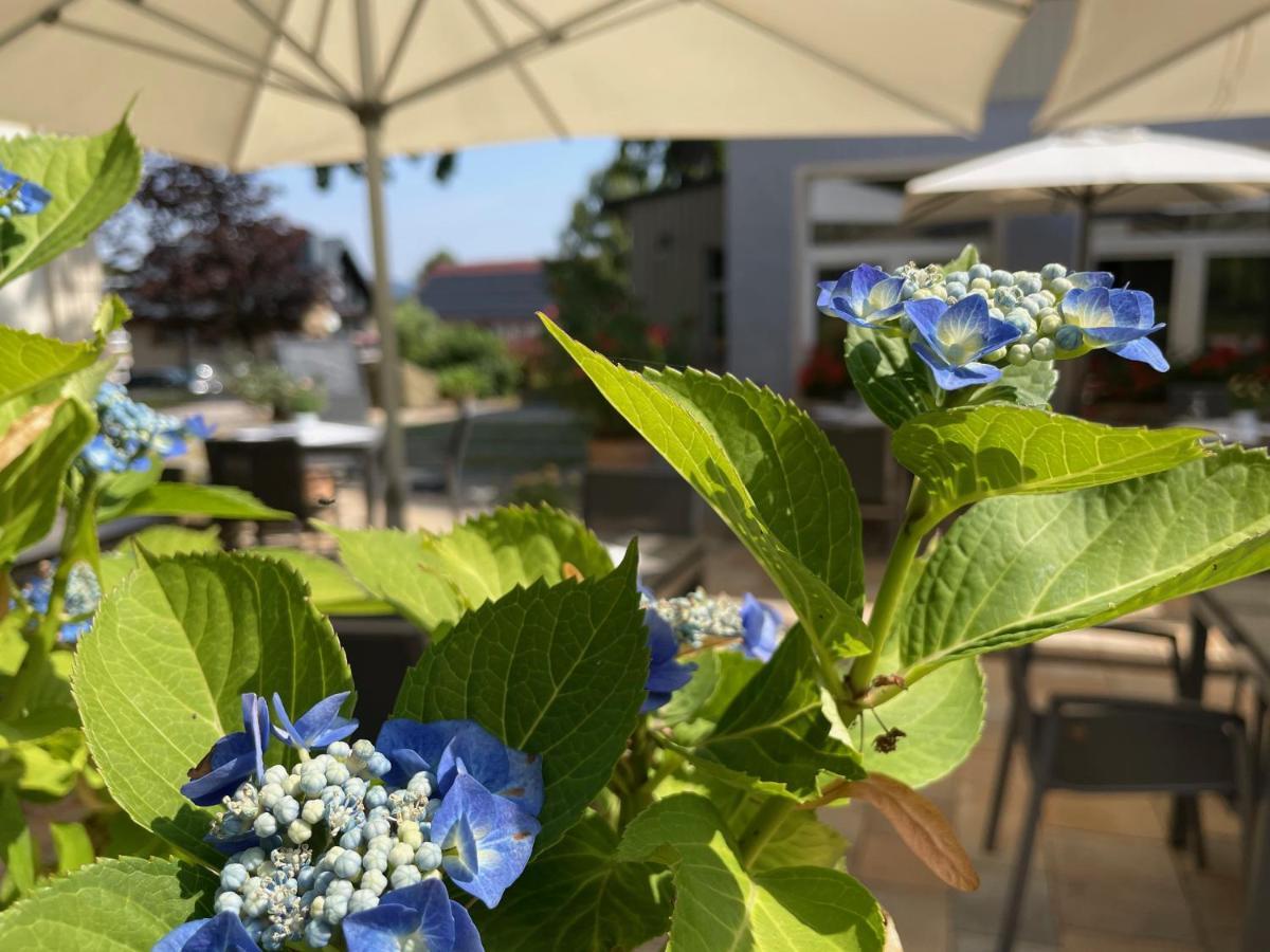 Logis Hotel Quartier 5, Saechsische Schweiz, Mit Restaurant, Cafe & Bar Kurort Gohrisch Ngoại thất bức ảnh